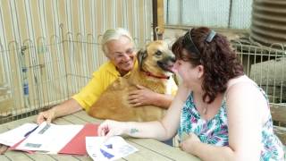 02 Happypawshaven 1M V2 2