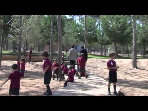 Vídeo: Règim Del Dia De Primer De Primària