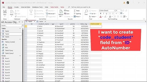 How to create another AutoNumber field in table MS Access