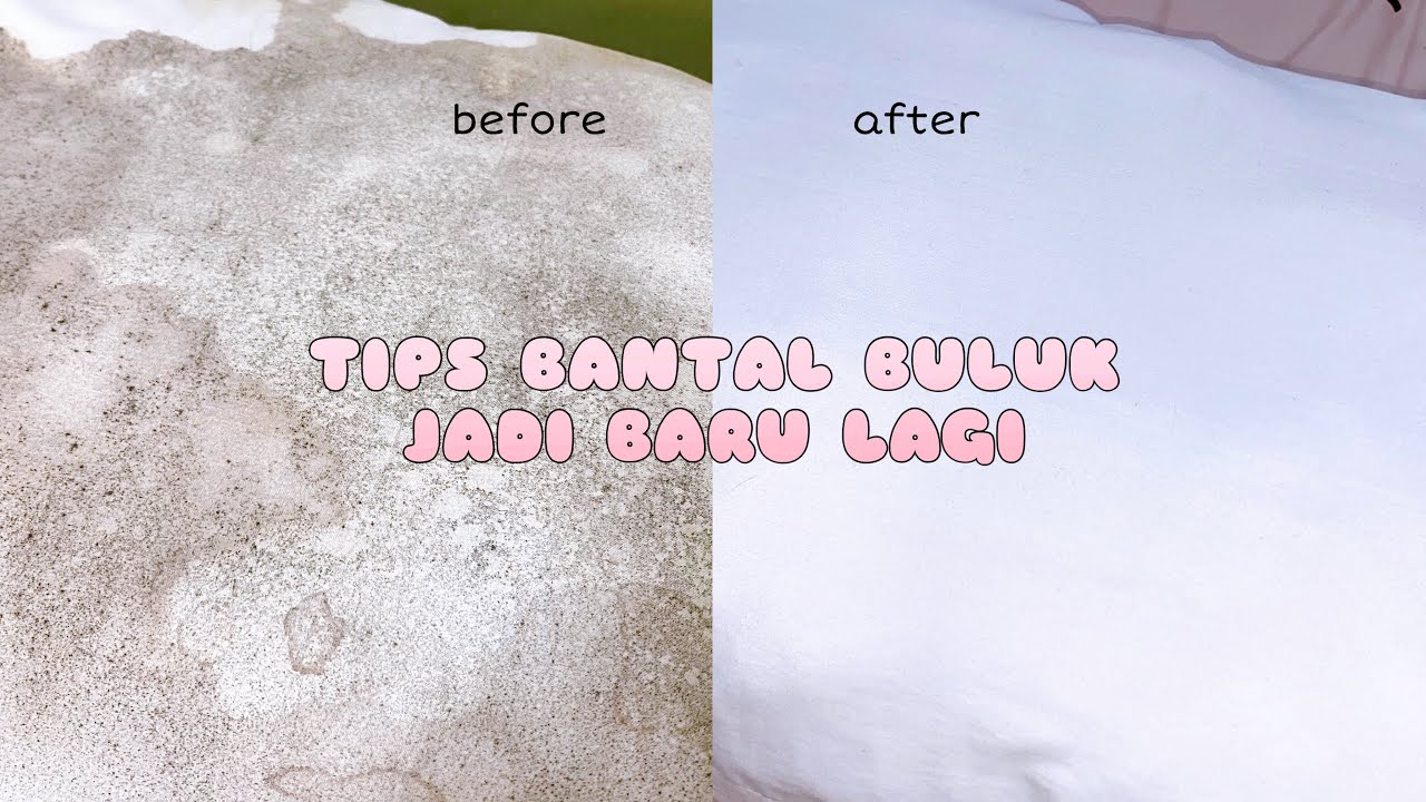 TIPS BANTAL BULUK BERJAMUR JADI BARU LAGI 