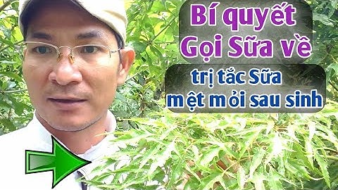 Bí quyết Gọi Sữa về | trị tắc Sữa, mất ngủ, mệt mỏi sau sinh. PHAN HẢI Channel
