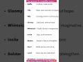 Top Synonyms for Competitive Exams | Boost Your English Vocabulary Fast!