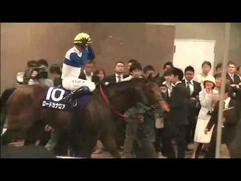 安田記念　優勝馬　ロードカナロア号　2013年6月2日（日）東京競馬場