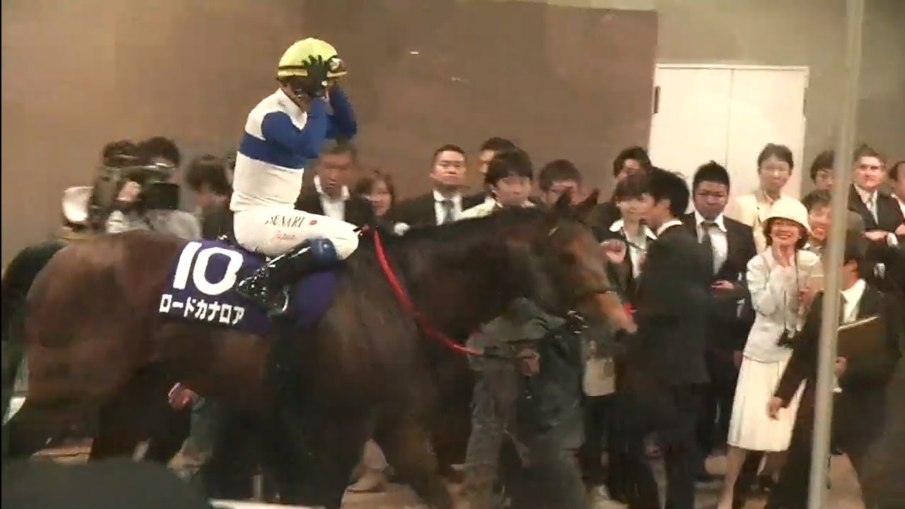 安田記念 優勝馬 ロードカナロア号 2013年6月2日（日）東京競馬場