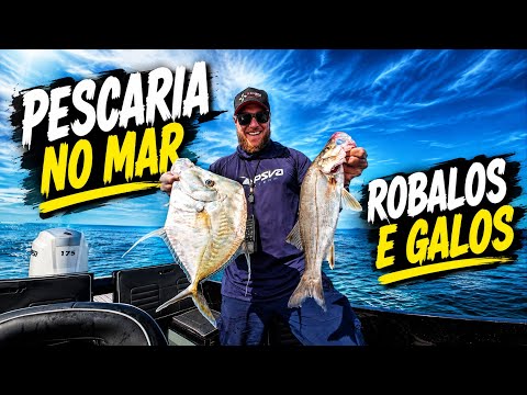 FOLLOW MY DAY AT SEA - fishing for snook and roosterfish with jig heads and shrimp