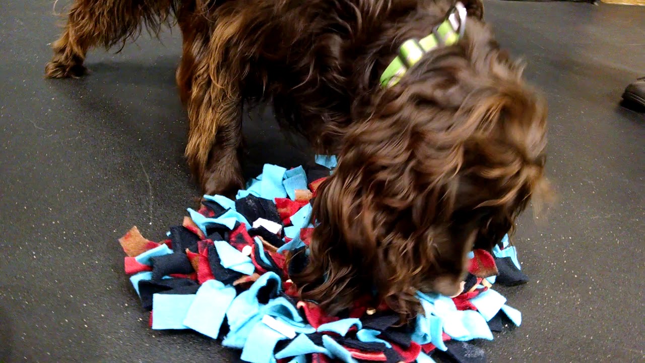 DIY Snuffle Mat YouTube