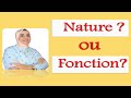 Nature et fonction grammaticales