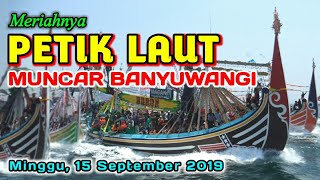 PETIK LAUT _ MUNCAR BANYUWANGI 2019 _ SUKSES