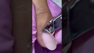Clean Cuticle Removal with Nippers ASMR