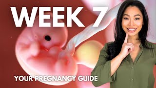 7 Weeks Pregnant | Your Pregnancy Guide Week-by-Week