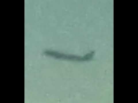 Последнее фото TWA 800 перед крушением