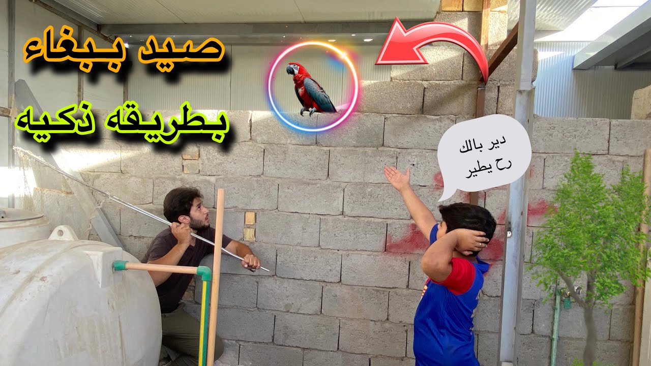 #افكاري3/صيد بيغاء بطريقه احترافيه😮ترتيب المزرعه بل كامل💪