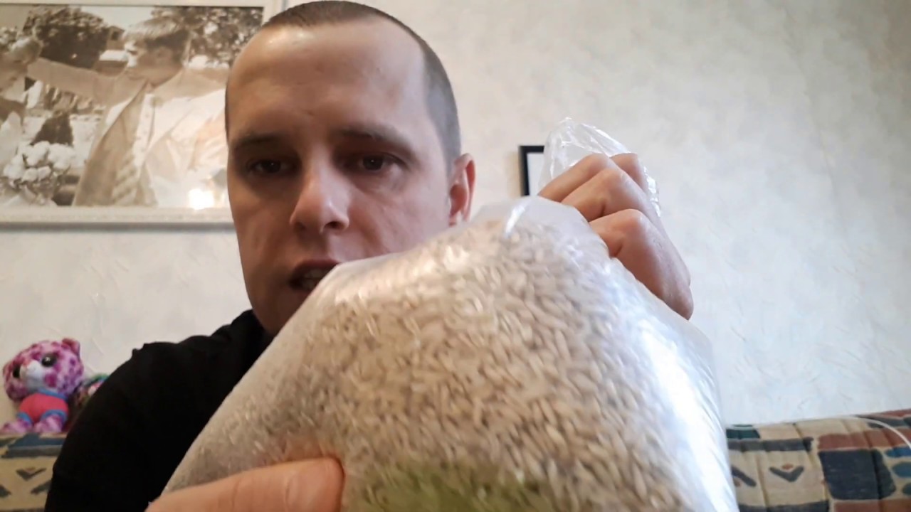 отвар овса рецепты при истощении организма. Как правильно принимать отвар в домашних условиях.