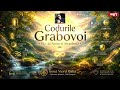 Codurile Grabovoi • Flux de Noroc și Abundență - Lototerie - Manifestare Rapidă