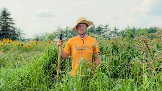 I thought FARMING (without ROUNDUP) would be EASY