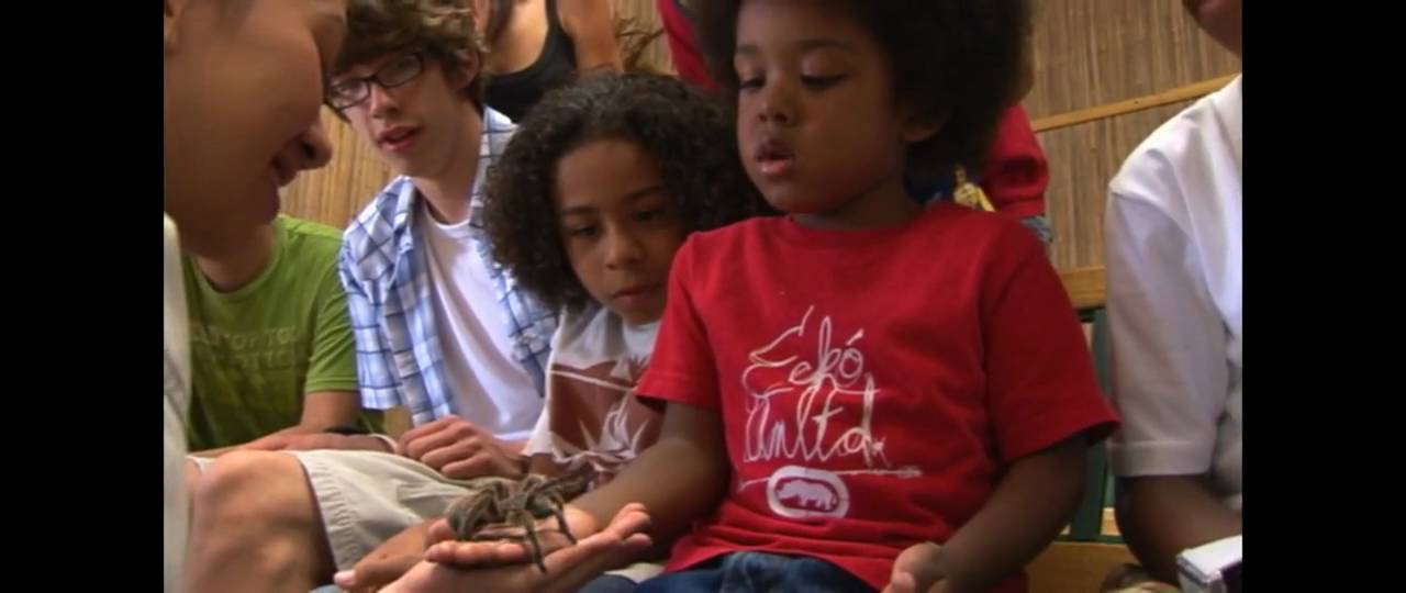 kids anka Prehistoric Pets: The Reptile Zoo- Jurassic Party Adventure Ep.11