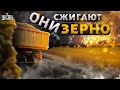 Россияне массово сжигают зерно на украинских полях