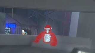 Tryouts for camera man are at 8:30 central time code RTVR.