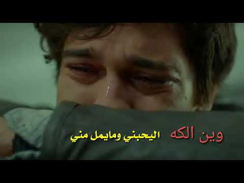 كلام يوجع الكلب الشاعر حسون الصغير 