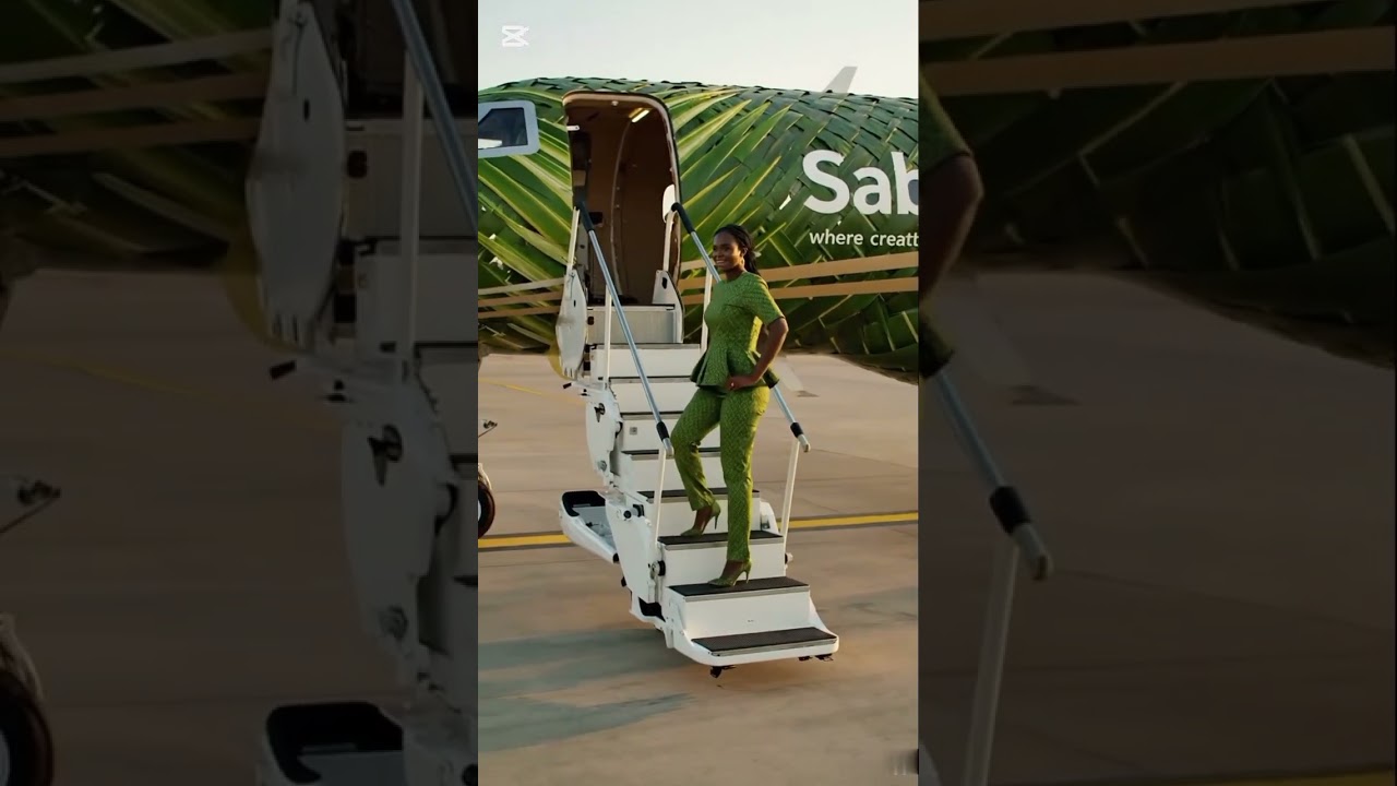 From Nature to the Sky — The World’s First Palm Leaf Private Jet | Sabnews| 