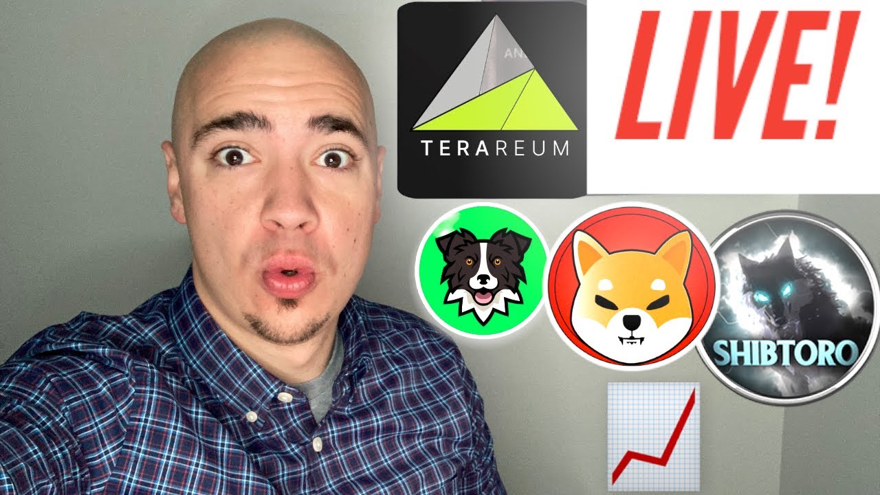 TERAREUM. BIG DAY. CRYPTO NEWS - SHIBA INU, SHIBTORO, APOLLO INU, & MORE!