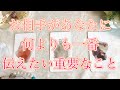 【恋愛タロット占い】怖いほど当たる🙄お相手があなたに打ち明けたい、何をおいても一番に✨伝えたいこと✨🕊️