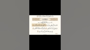 سوره المسد بصوت الشيخ ياسر الدوسري القران الكريم