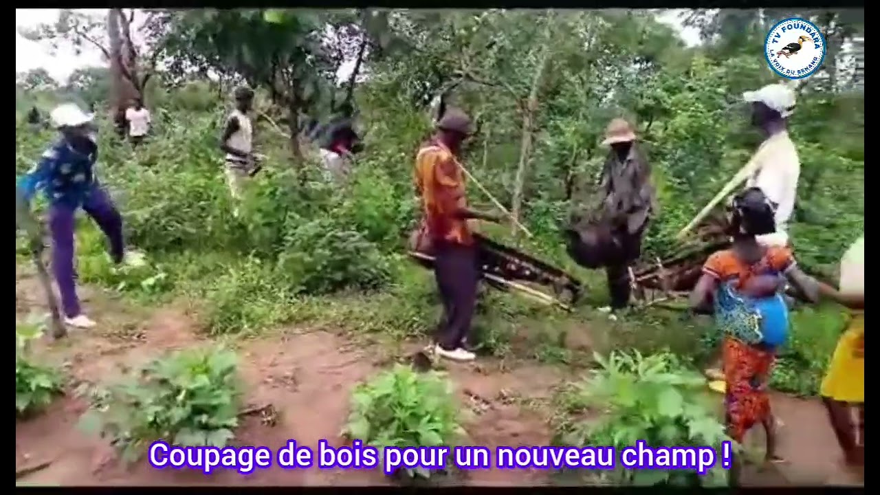 Travaux de coupage de bois pour un nouveau champ. 
