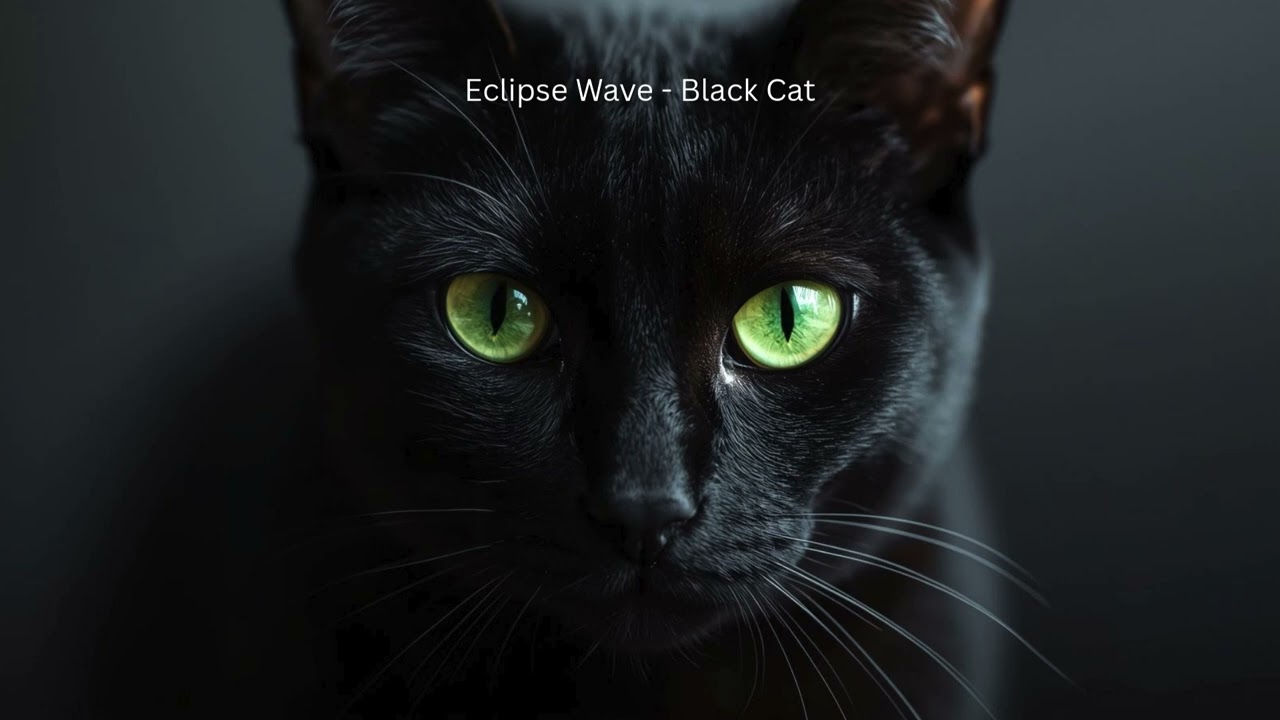 Eclipse Wave - Black Cat