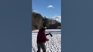 Duo Wraith Backhand Distance Hyzer