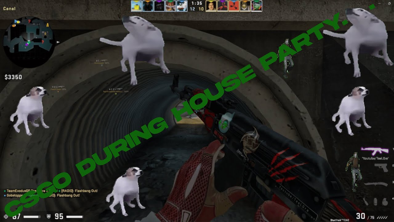 POV: Playing CSGO During a house party - YouTube