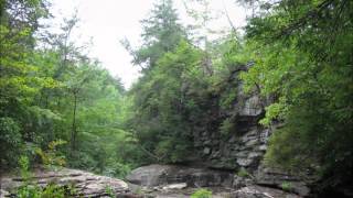 Sights from 10 years of Conservation GIS
