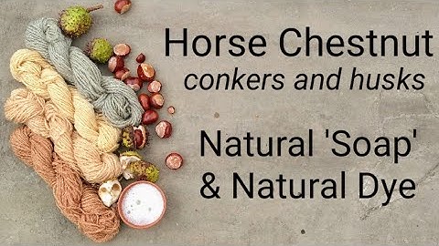 Horse Chestnut, natural 