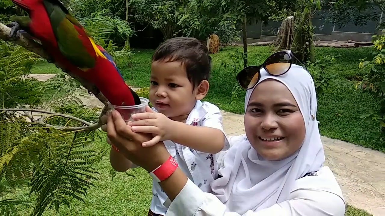 When all the bird turn to ' Ayam ' - Melaka Bird Park