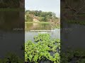jangan jadikan bulan puasa untuk libur mancing