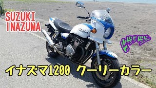 GSX1200 Inazuma and the Dinosaur Museum: Japan Motorcycle Tour 4-3