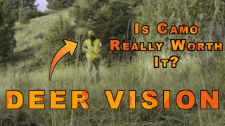 Is Camouflage really worth it? | Testing Camo with DEER VISION! screenshot 4