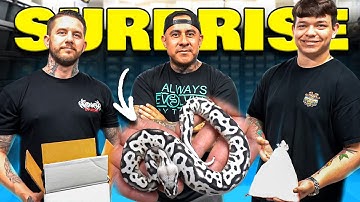 I Can’t Believe I Was Gifted These Snakes!