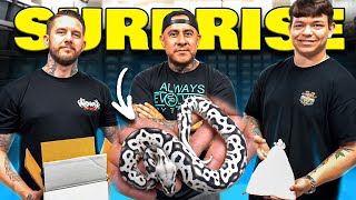 Download Lagu I Can’t Believe I Was Gifted These Snakes! MP3