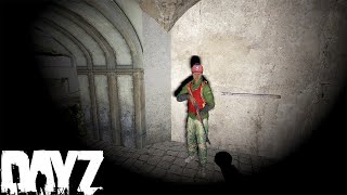 Crazy - DayZ Adventures With Random Survivors