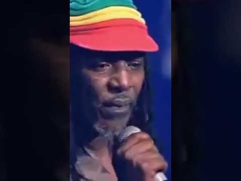 Alpha Blondy Les Salauds Shorts