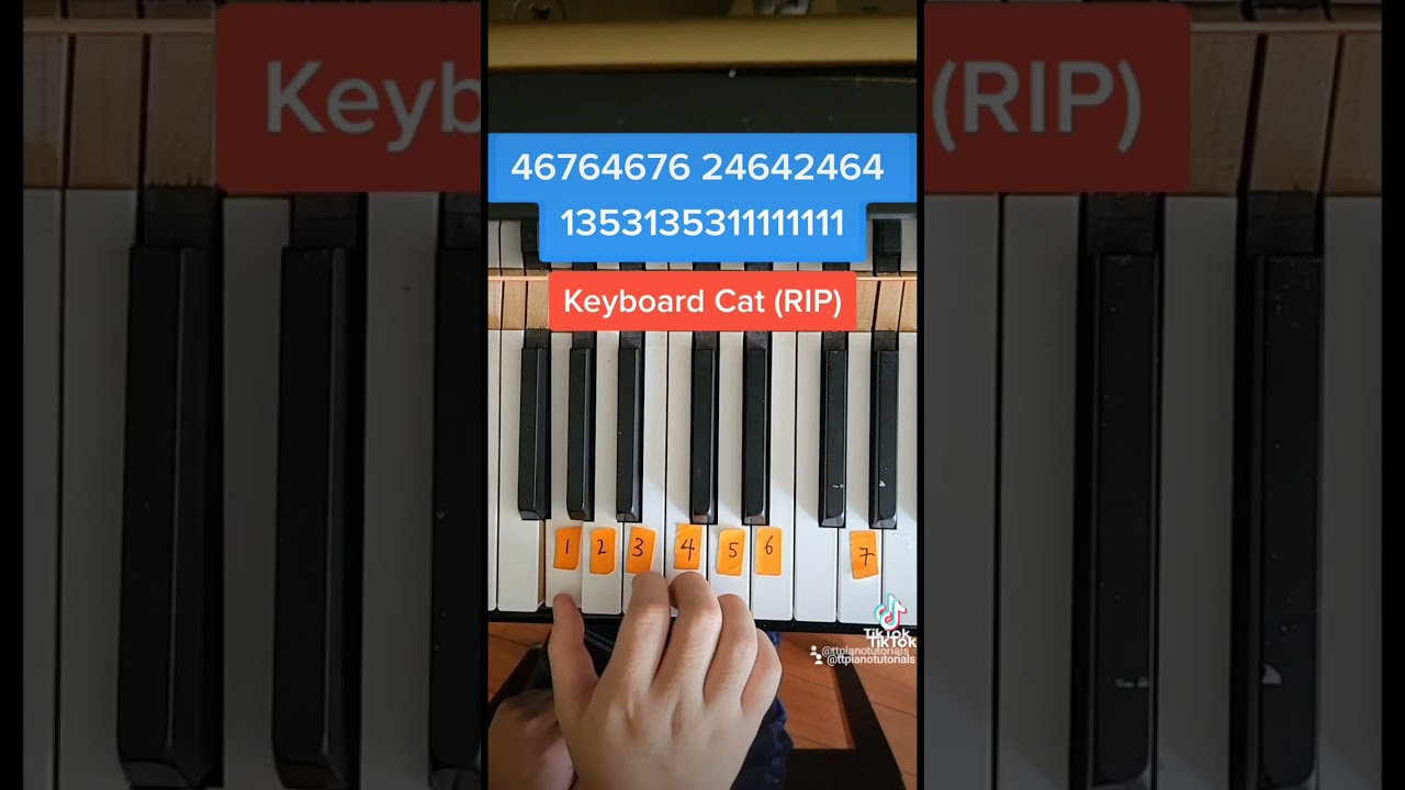 Keyboard Cat (Easy Piano Tutorial)