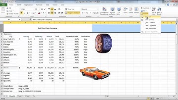 How to Add pictures and shapes in Excel 2010