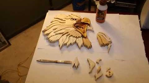 Eagle Intarsia Time Lapse