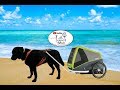 Camping und e-biken mit Hund - ein Hundeanhänger- Tip