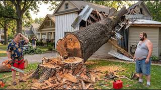 Extreme Forestry Machines &amp; Dangerous Logging Operations | Giant Timber Harvesting Skills