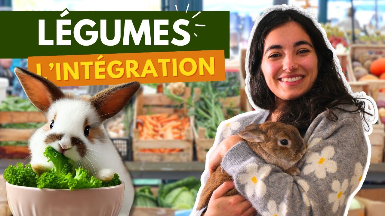 L'intégration des LEGUMES pour ton LAPIN 🥕🥦Top conseils