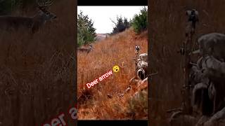 A Unique Moment Of Hunting A Whitetail Deer Captured On Camera