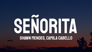 Shawn Mendes, Camila Cabello - Señorita (Lyrics)