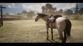 Spirit: Get Off My Back in Red Dead Redemption 2